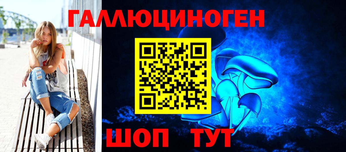 Псилоцибиновые грибы Cubensis Саяногорск