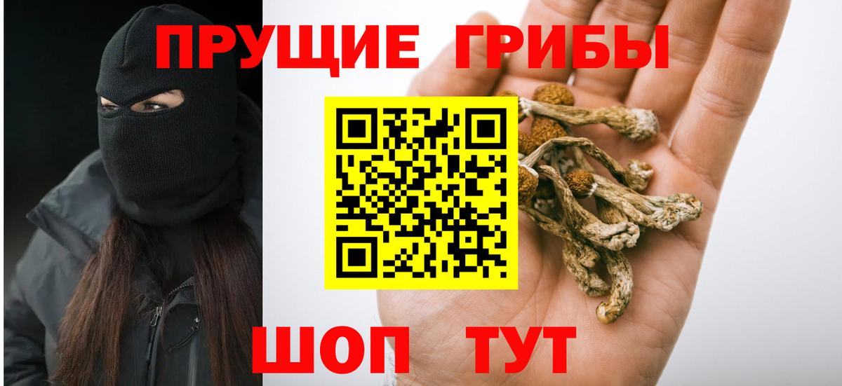 Саяногорск  Галлюциногенные грибы MAGIC MUSHROOMS  Вход с VPN  Галлюциногенные грибы Psilocybe 